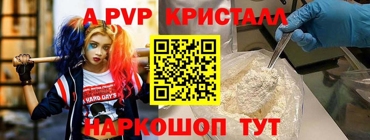 A PVP СК КРИС Елец