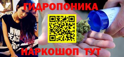 дмт Гусев