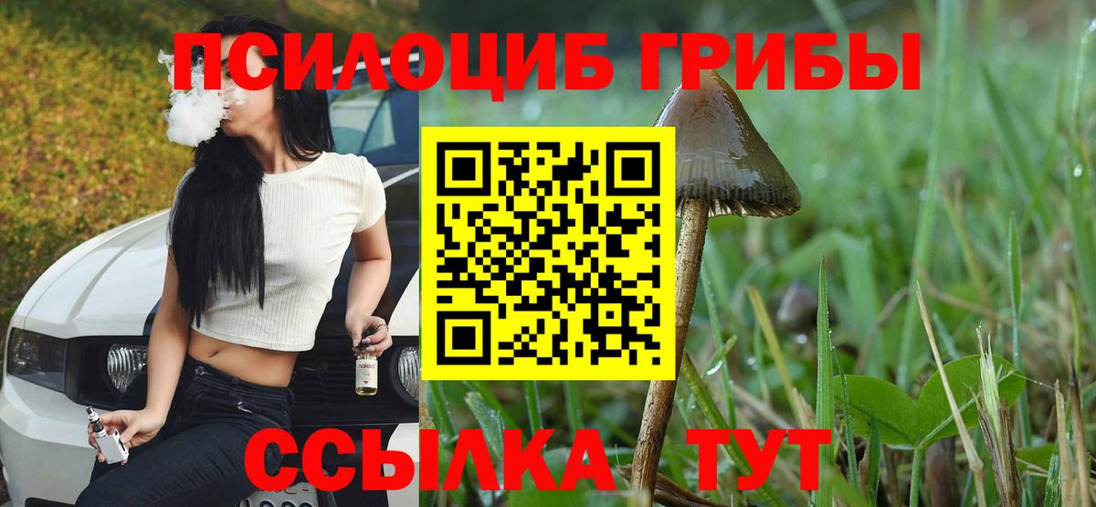 Псилоцибиновые грибы Psilocybine cubensis  Галлюциногенные грибы мухоморы  Елец  Вход с VPN 
